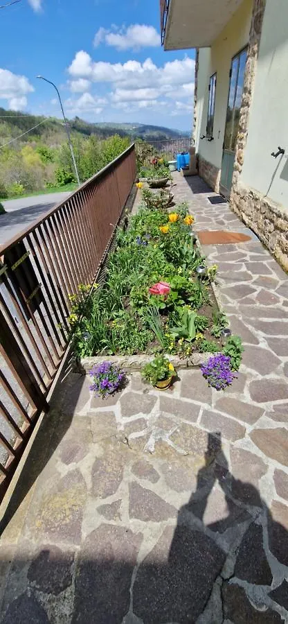 B&B Nina 산 베네데토 발 디 삼브로 0*,